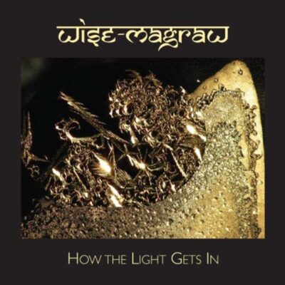 magraw & wise: how the light gets in